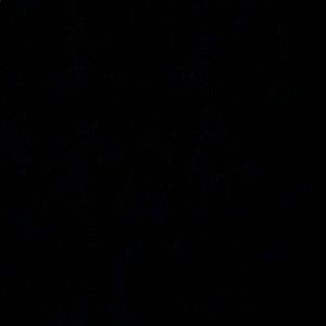 Meet your Posher, Eddie